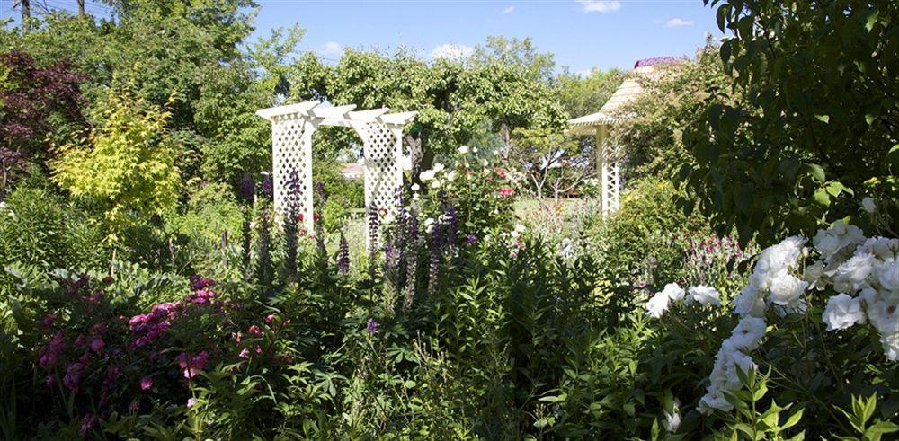 Hartley Homestead Boutique Bed & Breakfast Clyde Dış mekan fotoğraf