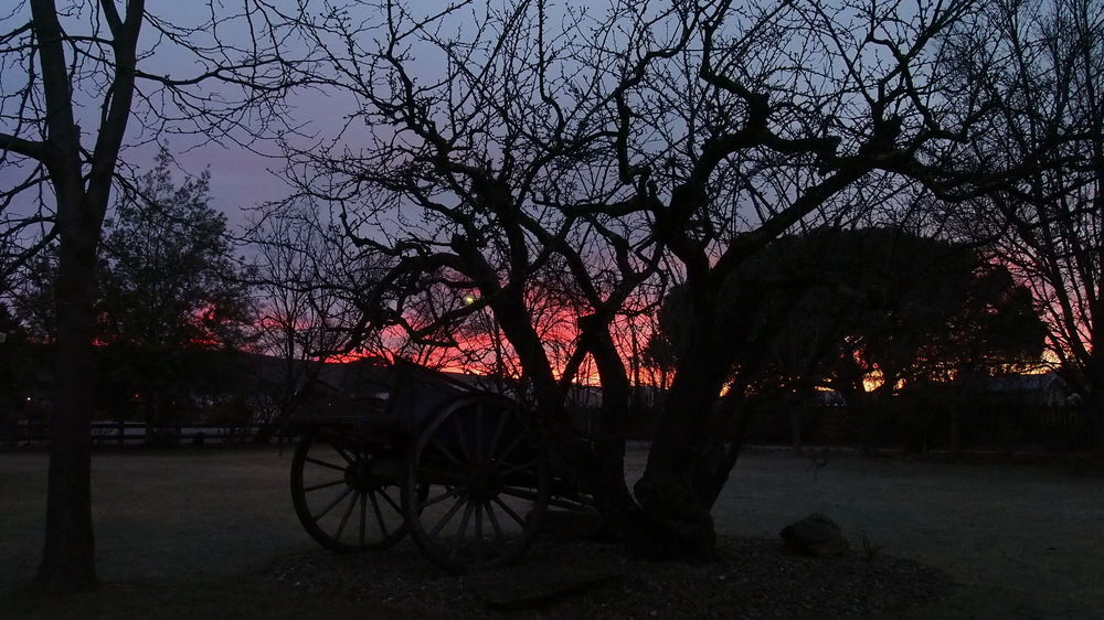 Hartley Homestead Boutique Bed & Breakfast Clyde Dış mekan fotoğraf