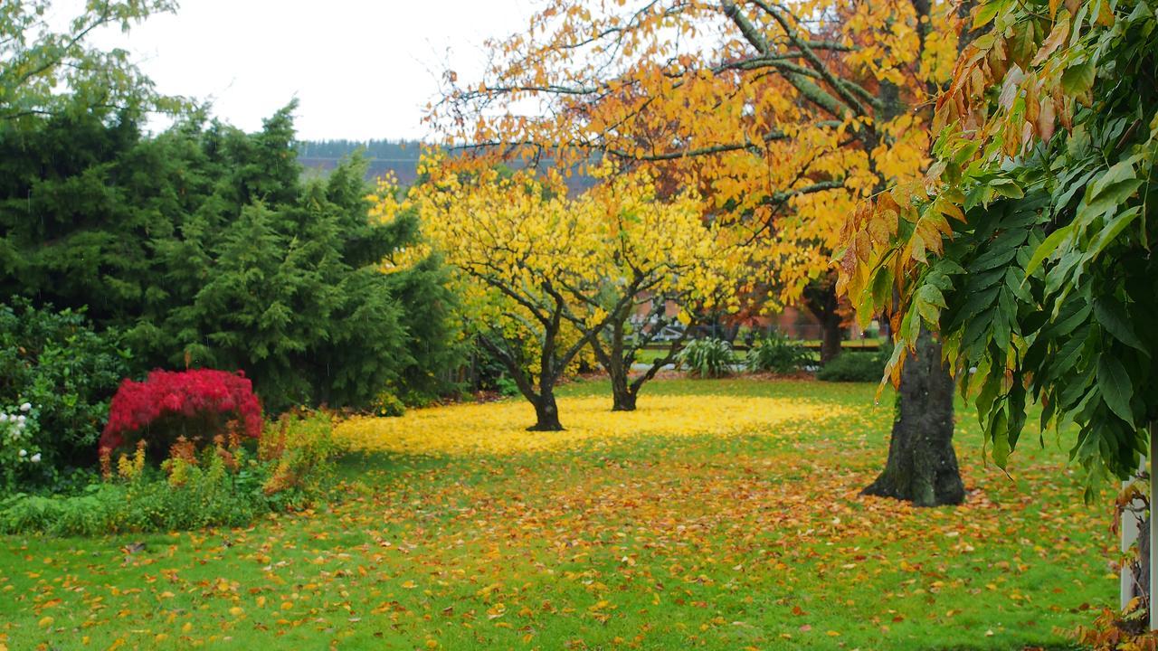 Hartley Homestead Boutique Bed & Breakfast Clyde Dış mekan fotoğraf